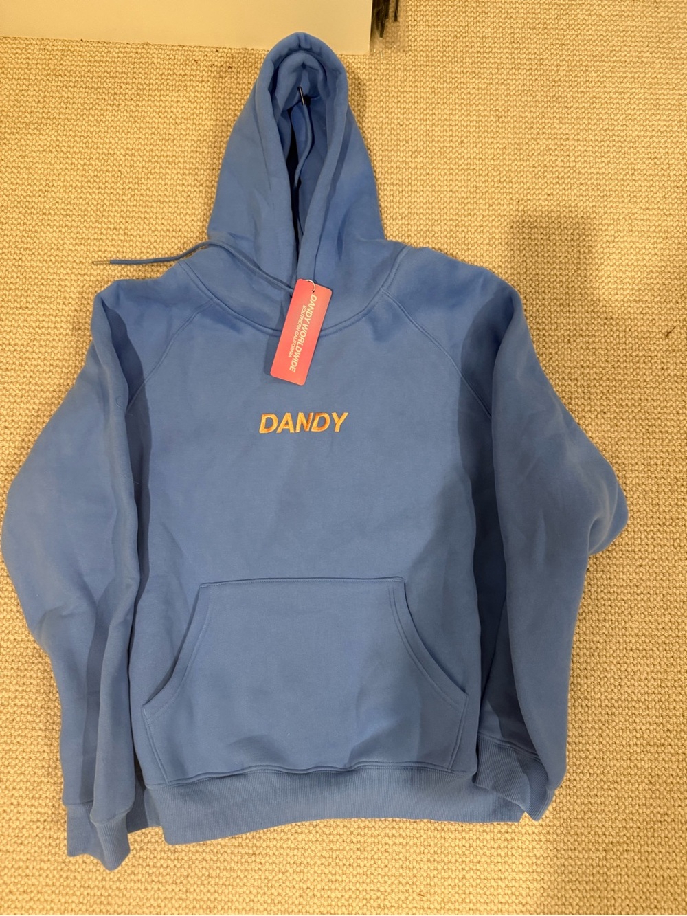 DANDY Kids' Blue Hooded Sweatshirt